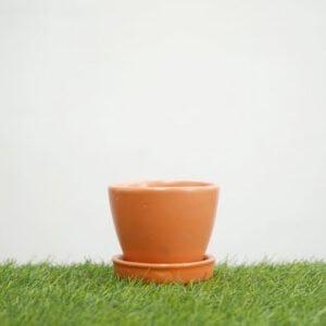 Orange Round Egg Shape Ceramic Pot with Tray
