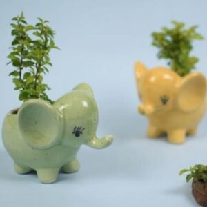 Green Baby Elephant Ceramic Pot