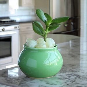 Green Handi Shape Ceramic Pot