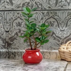 Red Handi Shape Ceramic Pot