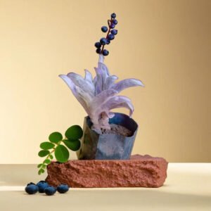 Webbed Leaves (Bare Rooted)