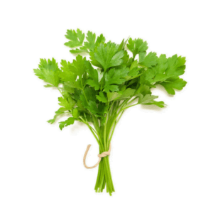 CORIANDER HYBRID SEEDS (200 seeds) - Image 2
