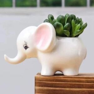 White Baby Elephant Ceramic Pot