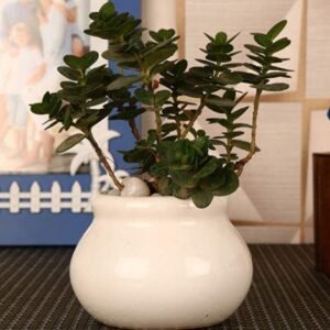 White Matka Ceramic Pot