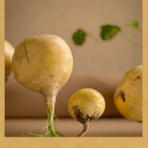 TURNIP YELLOW HYBRID SEEDS (40 seeds)