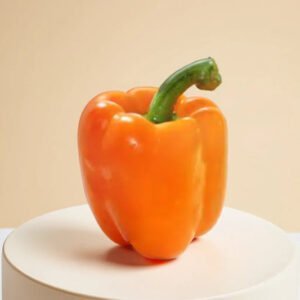 CAPSICUM (ORANGE) HYBRID SEEDS (20 seeds)