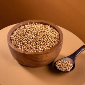 CORIANDER DESI VEGETABLE SEEDS (200 seeds)