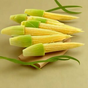 BABY CORN HYBRID SEEDS (20 seeds)